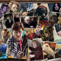 Harry Potter (TM)