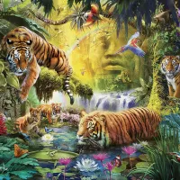 Tigres au Plan d'Eau