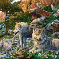 Wolves in the Spring