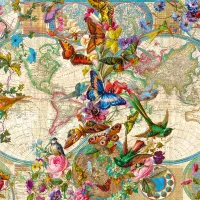 Carte Faune et Flore