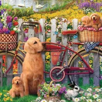 Chiens mignons dans le Jardin