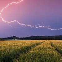 Nature Edition - Orage d'été