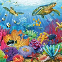 Tropical Waters