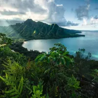 Vue sur Hawaï