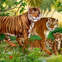 Animaux Sauvages - Tigres