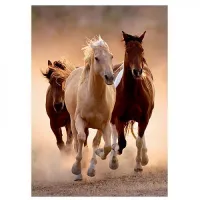 Chevaux au Galop I