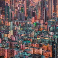Hong-Kong, La Ruche