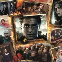 Harry Potter