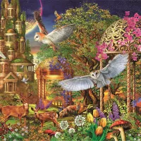 Jardin Fantastique Des Bois