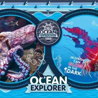 National Geo Kids - Ocean Expedition