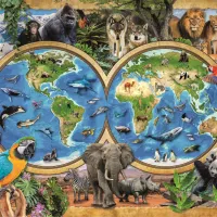 Le Monde Merveilleux des Animaux