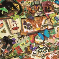Collectionneur De Papillons