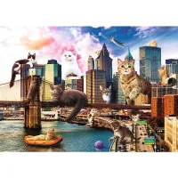 Kittens in New York
