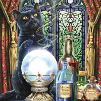 Collection Magic : L'Apprenti Sorcière