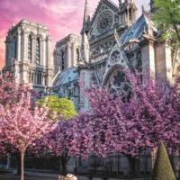 Odyssée Photo : Cathédrale Notre-Dame De Paris