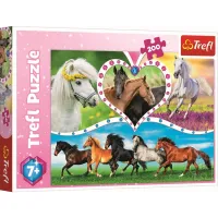 Chevaux