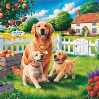 Easy Piece - Chiens À La Campagne