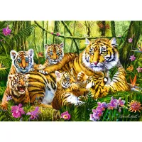 Famille de Tigres