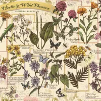 Herbier : Herbes Médicinales