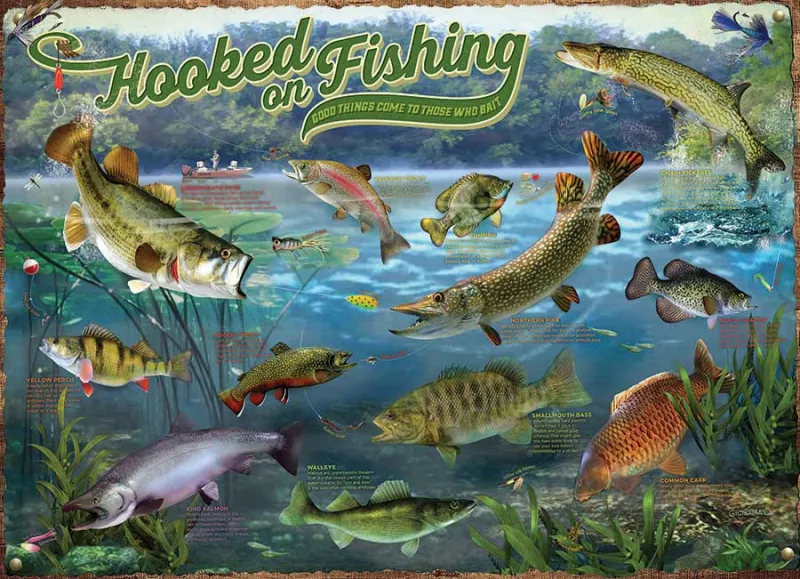 Hooked on Fishing