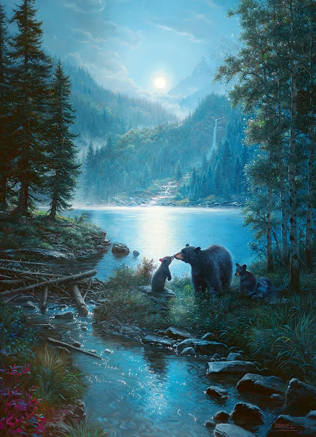 Nuit des Ours