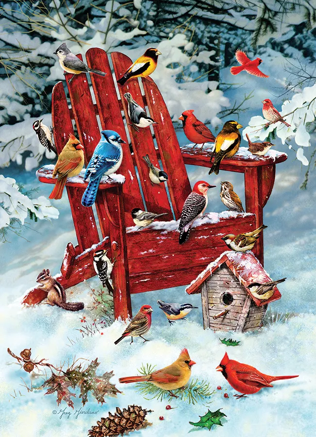 Oiseaux des Adirondacks