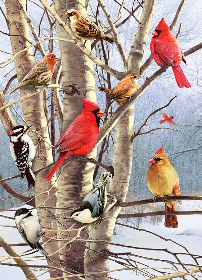 Oiseaux d'Hiver