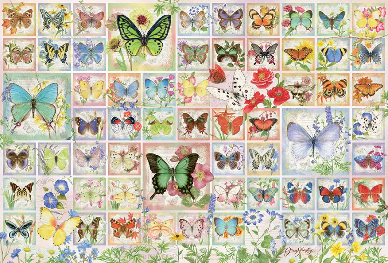 Papillons et Fleurs