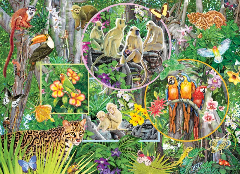 Magie de la Forêt Tropicale
