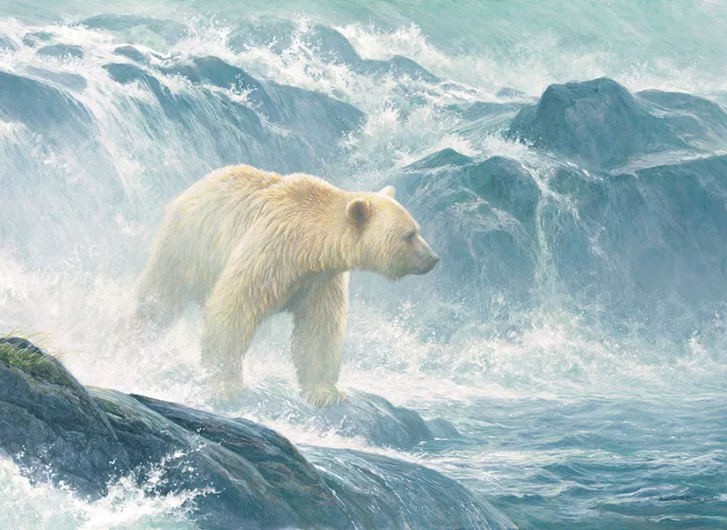 Pièces XXL - Salmon Watch - Spirit Bear