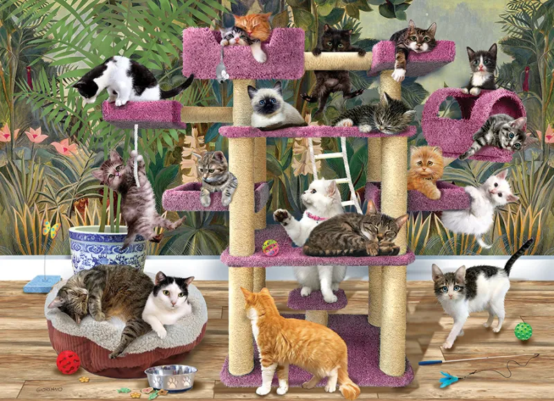 Chats de la Jungle
