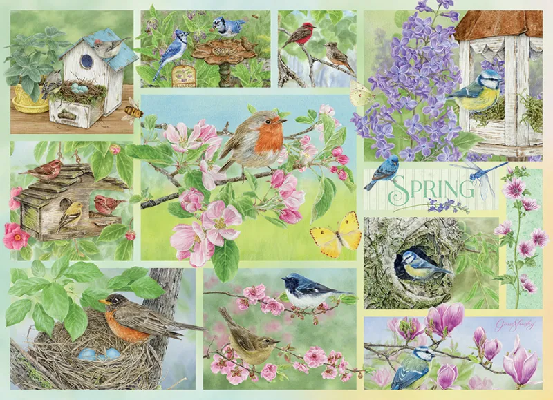 Oiseaux de Jardin au Printemps