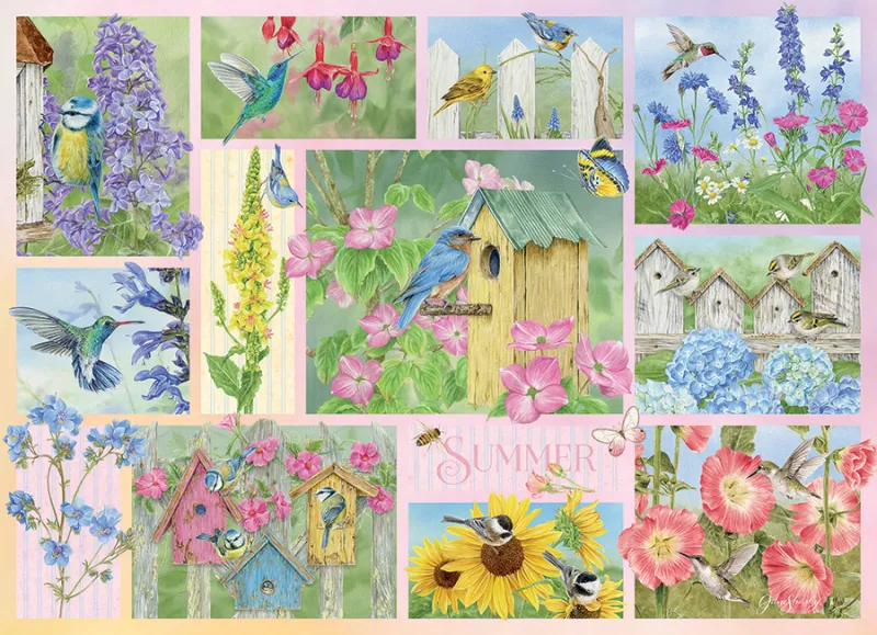 Oiseaux de Jardin en Été
