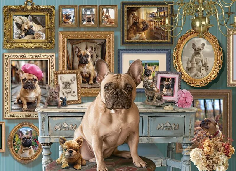 Frenchie