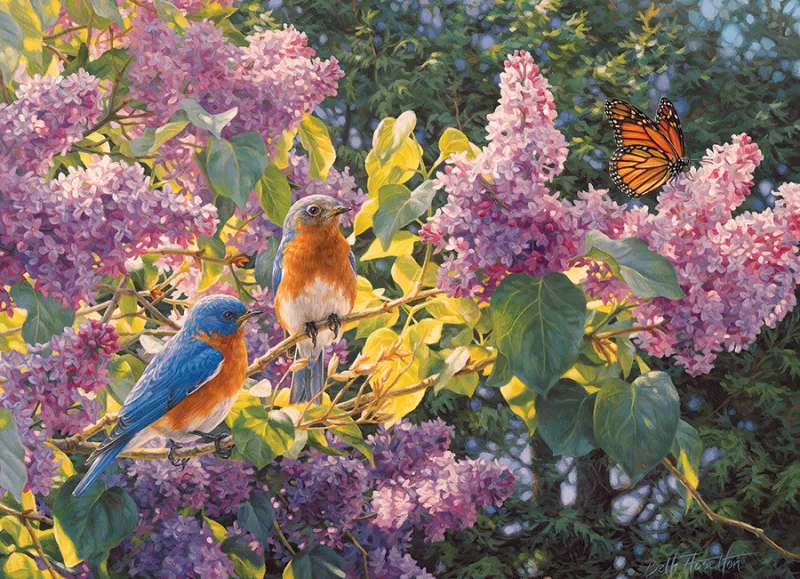 Intermède de Printemps