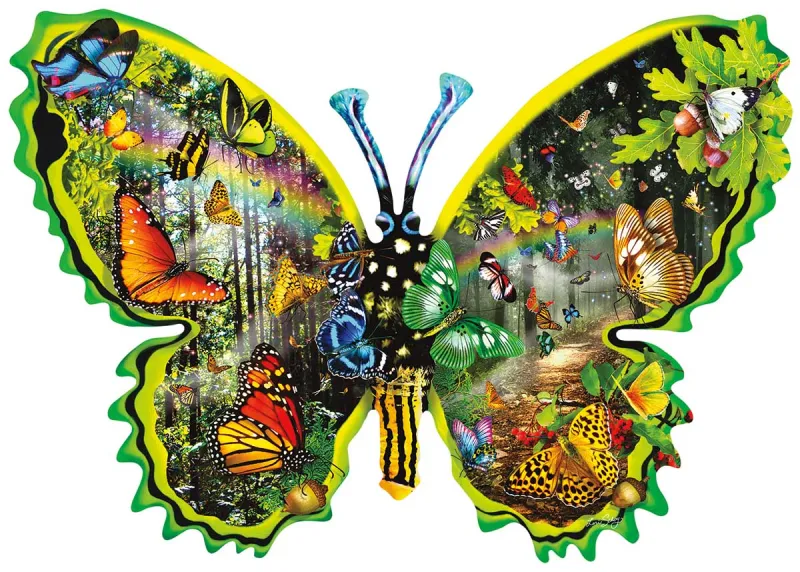 Lori Schory - Butterfly Migration