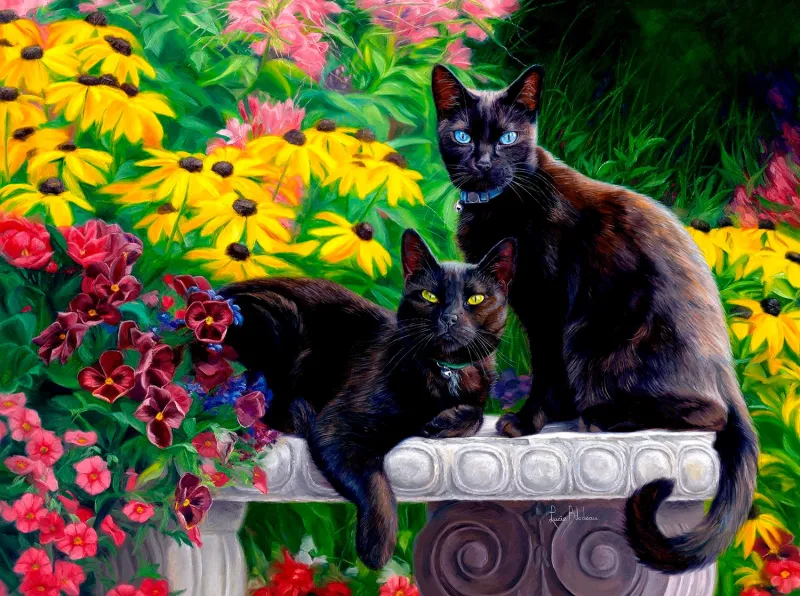 Beautés Noires