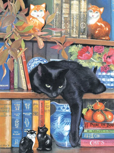 Chrissy Snelling - On the Shelf