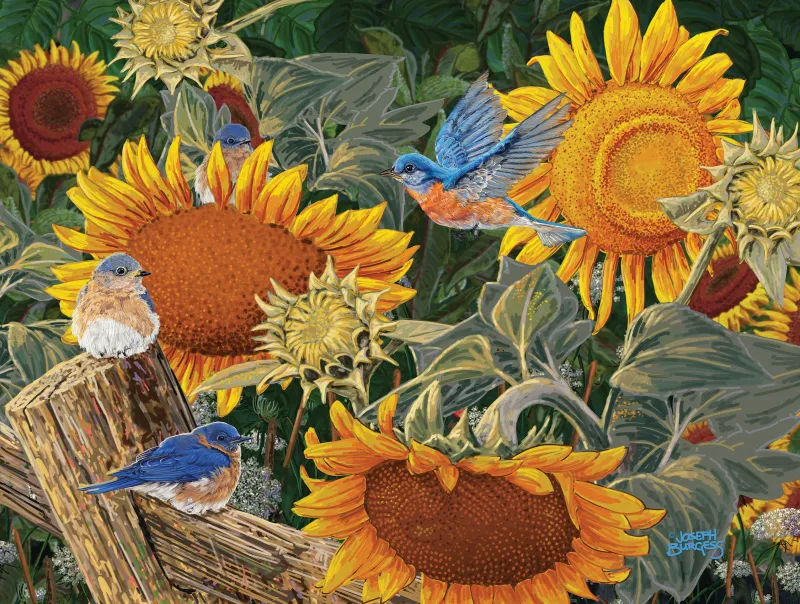 Pièces XXL - Parterre de Tournesols