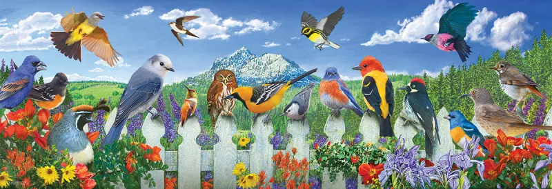 Pièces XXL - Oiseaux de l'Ouest