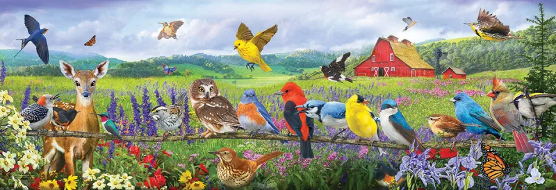 Pièces XXL - Oiseaux de l'Est