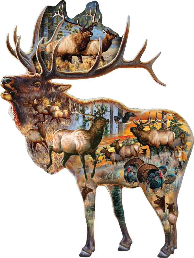 Cynthie Fisher - Bugle Call