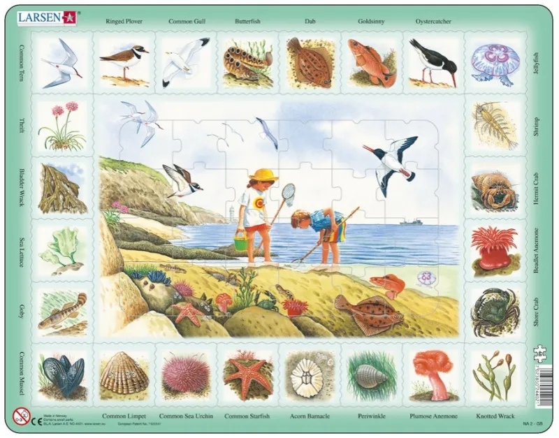 Puzzle Cadre - Apprendre l'Anglais : Au Bord de Mer (en Anglais)