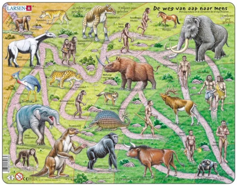 Puzzle Cadre - De Weg van Aab naar Mens (en Hollandais)