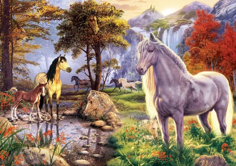 Chevaux Cachés