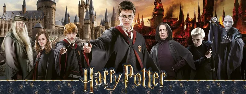 Harry Potter - La Guerre des Sorciers
