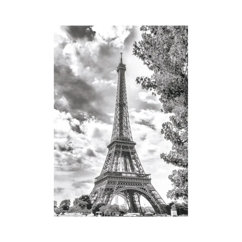 Tour Eiffel Noir et Blanche