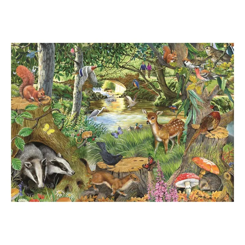 Pièces XXL - Clairière Riverside