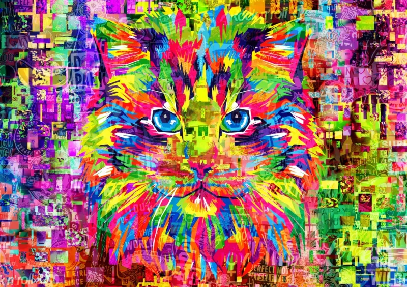 Wonderful Cat