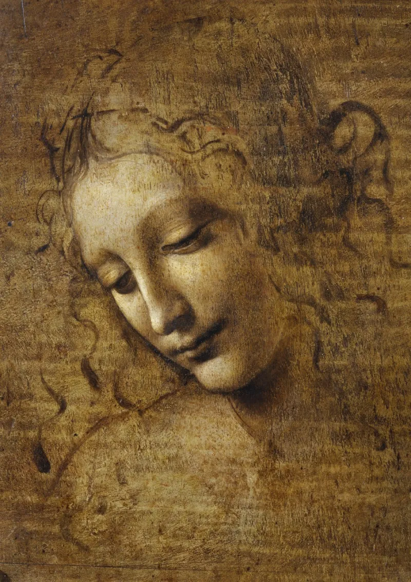 Leonard de Vinci - La Scapigliata, 1506-1508